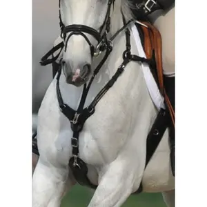 Cinta de seguridad para caballos Kavalkade SecureX image-1