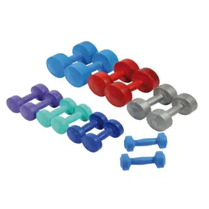 Paire d'haltères ciment Sporti