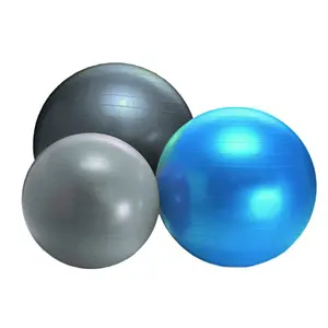 Gymball 65cm - 1100gr  image-0