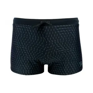 Baús de banho Speedo Valmilton image-0