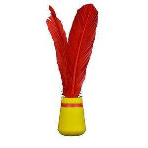 Inicjacja Indiaka Sporti image-0