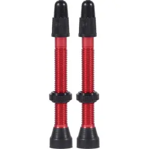 Válvulas sem tubo WTB presta TCS image-1