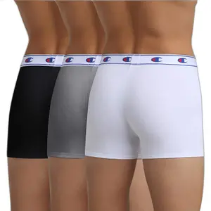 Boxer Champion image-2