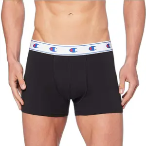 Boxer Champion image-0