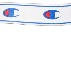 Boxer Champion image-3