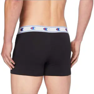 Boxer Champion image-1