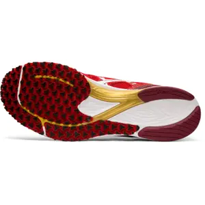 Schoenen Asics Tartheredge Tenka image-6