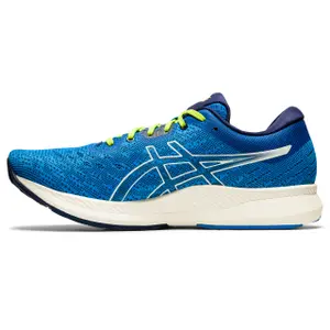 Schoenen Asics Evoride image-2
