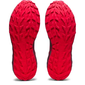 Trail schoenen Asics Gel-Trabuco Terra image-6