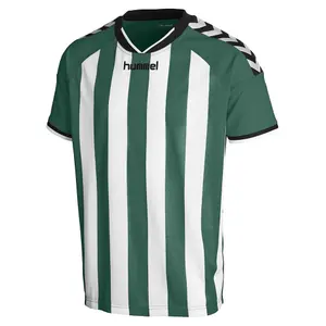 Camiseta para niños Hummel stay hmlAUTHENTIC striped image-0