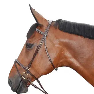Zaumzeug Reiten gesteppt kombiniert Canter image-2