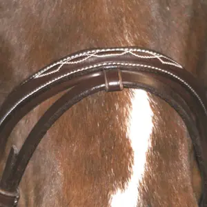 Zaumzeug Reiten gesteppt kombiniert Canter image-3