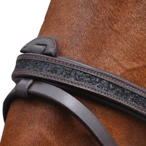 Riding bridles Canter Black strass image-2