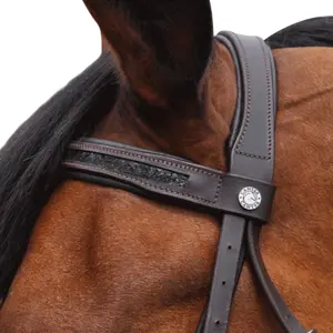 Riding bridles Canter Black strass image-3