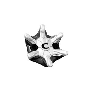 Champ 20 crampons zarma fixation "pin system" image-1