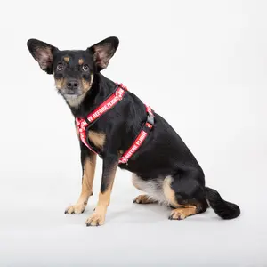 Hundsele Alpha Industries RBF Harness image-0