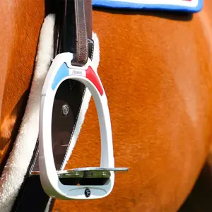 Sattelgurt Canter image-3