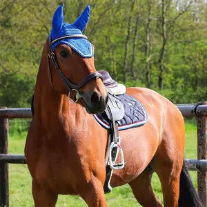 Sattelgurt Canter image-4