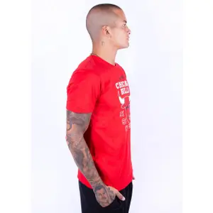 T-shirt New Era Chicago Bulls NBA Team Champion image-2