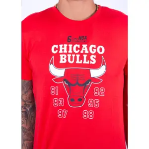 T-shirt New Era Chicago Bulls NBA Team Champion image-4