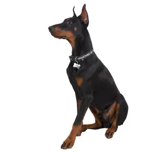 Hundehalsband Alpha Industries image-0