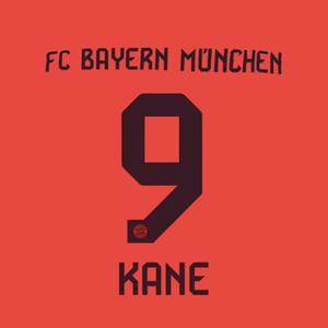 marking-002689-beflockung-home-bayern-munich-bundesliga-kane-9-2024-25-braun