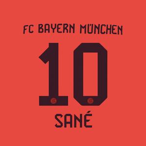 marking-002696-beflockung-home-bayern-munich-bundesliga-sane-10-2024-25-braun