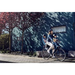 Maxi seatpost child Thule Yepp image-1