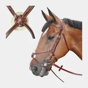 Zaumzeug Reiten Denver Kreuz Lexington image-3