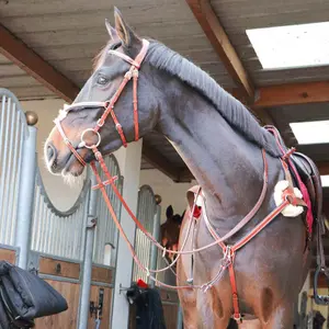 Cabezadas de caracol tucson cross Lexington image-1