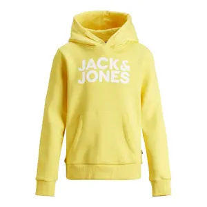 Sweatshirt child Jack & Jones ecorp logo image-0