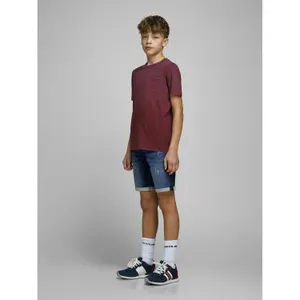 Calções criança Jack & Jones Rick Con image-2