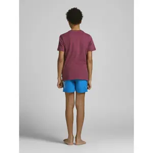 Children's swimming shorts Jack & Jones Jjiaruba Akm image-6