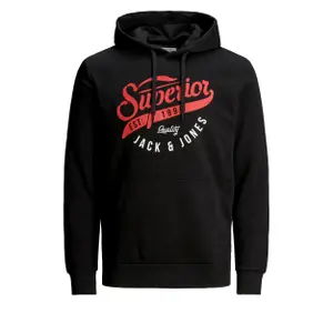 Sweatshirt Jack & Jones jjelogo sweat hood 2 col 20/21 noos image-0