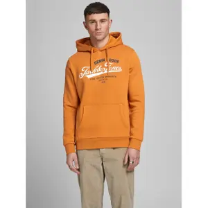 Sweatshirt Jack & Jones jjelogo sweat hood 2 col 20/21 noos image-1