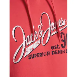 Sweatshirt Jack & Jones jjelogo sweat hood 2 col 20/21 noos image-5