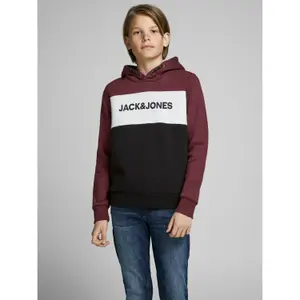 Child hoodie Jack & Jones Logo Blocking image-0