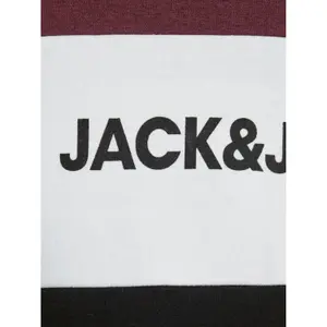 Child hoodie Jack & Jones Logo Blocking image-3