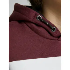 Child hoodie Jack & Jones Logo Blocking image-4