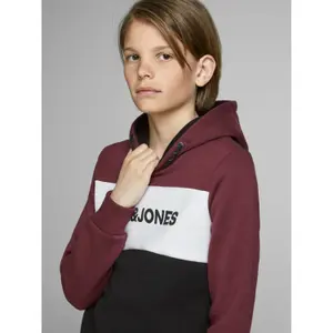 Child hoodie Jack & Jones Logo Blocking image-5