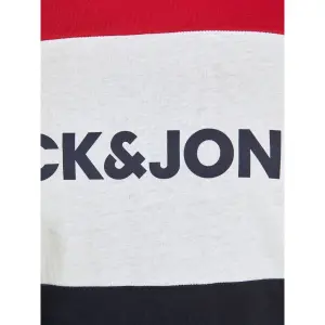 T-shirt large size Jack & Jones Logo Blocking (GT) image-4