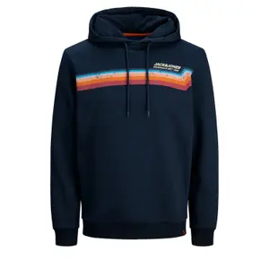 Sweatshirt mit Kapuze Jack & Jones Jortylers image-0