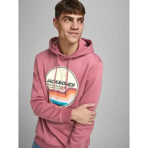 Sweatshirt mit Kapuze Jack & Jones Jortylers image-4