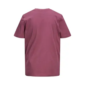 Child's T-shirt Jack & Jones col ras-du-cou tons image-2