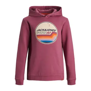 Sweatshirt child Jack & Jones tylers image-0