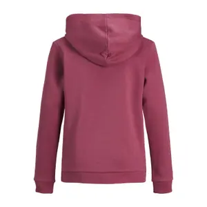 Sweatshirt child Jack & Jones tylers image-1