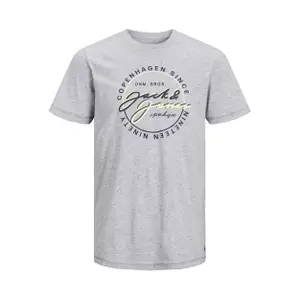 Kinder-T-Shirt Jack & Jones Woods image-0