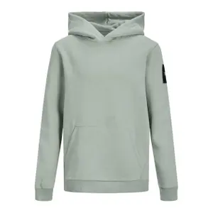 Child hoodie Jack & Jones Classic image-0