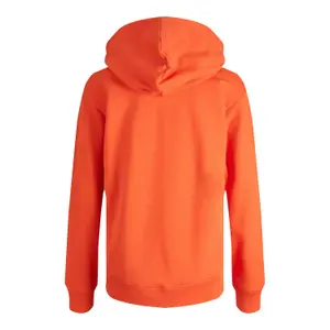 Women's hooded sweatshirt JJXX anina image-1