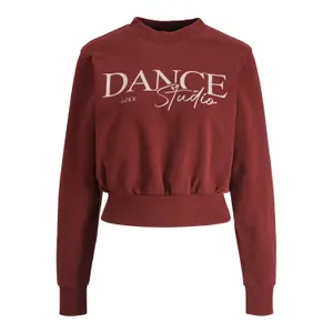 Sweatshirt Frau JJXX Bella Relaxed Vint image-0